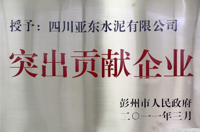 突出貢獻(xiàn)企業(yè)(四川亞東) 突出貢獻(xiàn)企業(yè)(四川亞東)