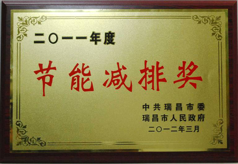 節能減排獎(江西亞東) 節能減排獎(江西亞東)