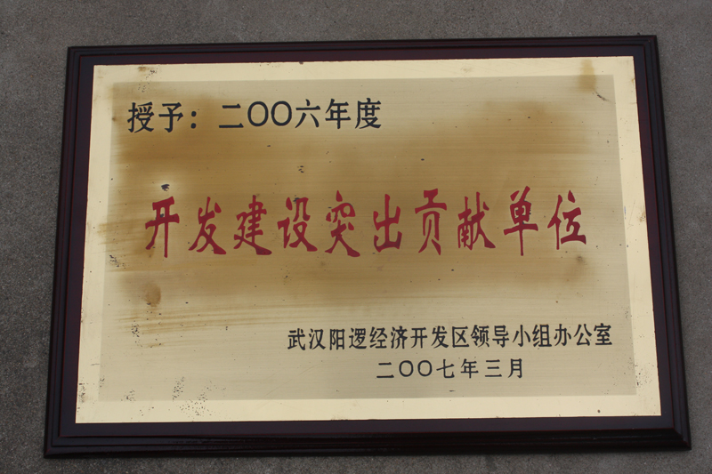 開發建設突出貢獻單位(湖北亞東) 開發建設突出貢獻單位(湖北亞東)