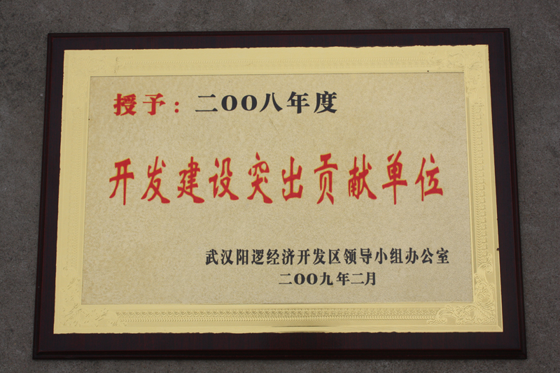 開發建設突出貢獻單位（湖北亞東）