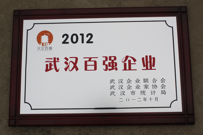 武漢百強企業(湖北亞東) 武漢百強企業(湖北亞東)