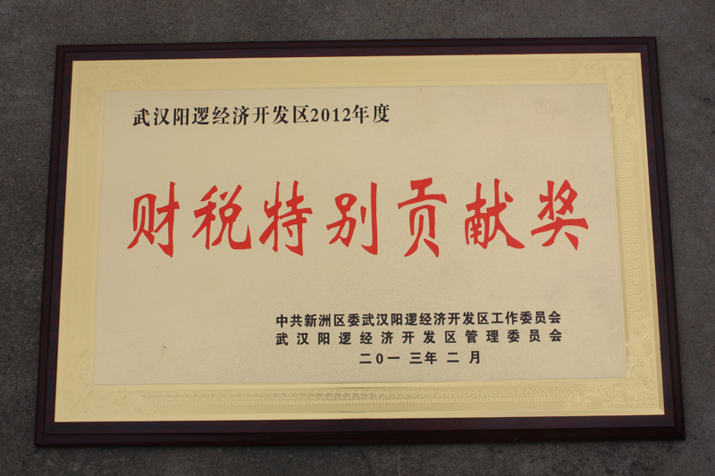 財稅特別貢獻獎(湖北亞東) 財稅特別貢獻獎(湖北亞東)