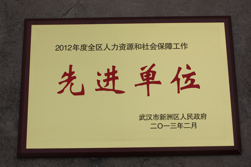人力資源和社會保障先進單位(湖北亞東) 人力資源和社會保障先進單位(湖北亞東)