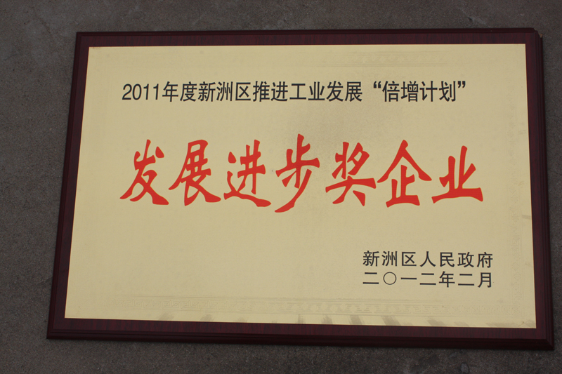 發展進步獎企業(湖北亞東) 發展進步獎企業(湖北亞東)