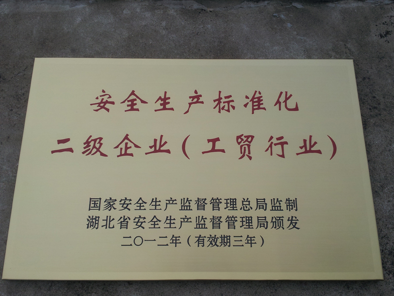 安全生產標準化二級企業(湖北亞東) 安全生產標準化二級企業(湖北亞東)