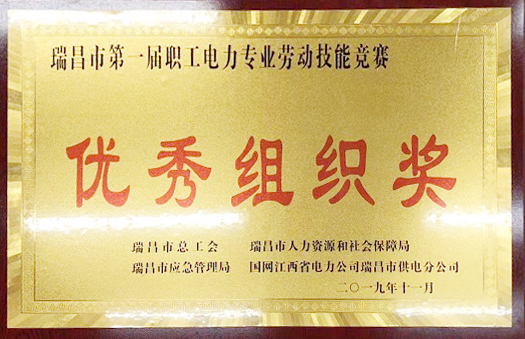 職工電力專業勞動技能競賽“優秀組織獎”(江西亞東) 職工電力專業勞動技能競賽“優秀組織獎”(江西亞東)