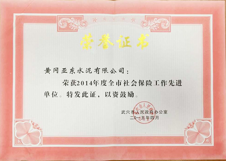 武穴市社會(huì)保險(xiǎn)工作先進(jìn)單位(黃岡亞東) 武穴市社會(huì)保險(xiǎn)工作先進(jìn)單位(黃岡亞東)